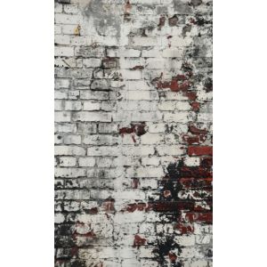 Fotohintergrund 160x265 cm alte Ziegelsteine weiß
