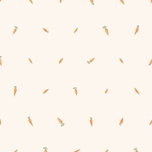 Jersey Stoff Takoy ungebleicht – Karotten