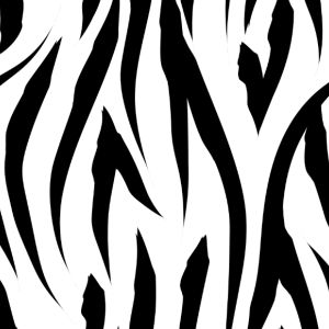 Funktionsjersey Zebra