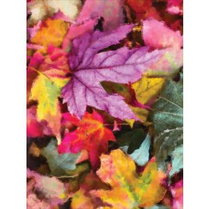 Funktioneller Sweat angeraut (Kuschelsweat) PANEL 74x100 Farbmalerei bunte Blätter 