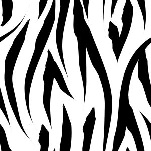 Stretch Satin Zebra